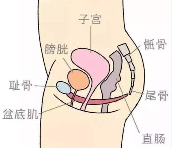 子宮 後 傾