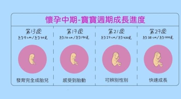 懷孕週期計算方式